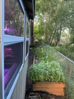 IMG_5780.jpeg