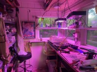 IMG_5781.jpeg