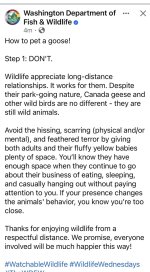 IMG_4038.jpeg IMG_4038.jpeg