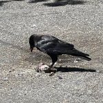 IMG_8089.jpeg