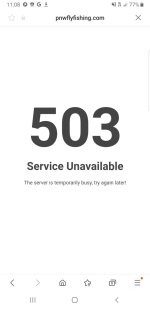 Screenshot_20240606-110843_Samsung Internet.jpg