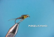 Purcell's Fancy.jpg