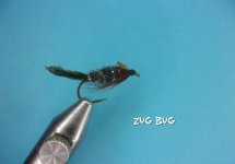 Zug Bug.jpg