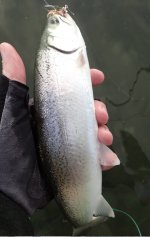 IMG_8154.jpeg IMG_8154.jpeg