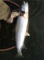 IMG_8157.jpeg IMG_8157.jpeg