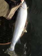 IMG_8158.jpeg IMG_8158.jpeg