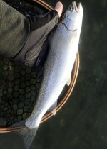 IMG_8160.jpeg IMG_8160.jpeg