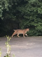 IMG_7511.jpeg
