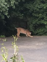 IMG_7510.jpeg