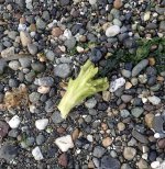 IMG_8197.jpeg
