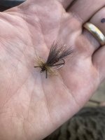 IMG_8925.jpeg