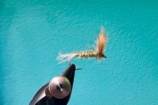 IMG_5299.jpeg