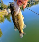 IMG_5267.jpeg