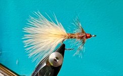 IMG_5250.jpeg