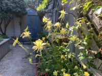 IMG_5812.jpeg