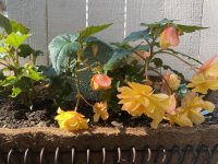 IMG_5809.jpeg