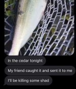 Screenshot_20240610_115732_Messages.jpg