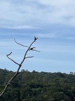 IMG_1078.jpeg