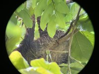 IMG_0732.jpeg