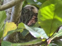 IMG_0735.jpeg