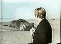 explosion-whale.gif