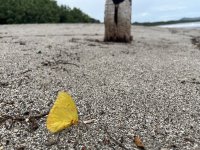 IMG_1261.jpeg