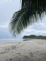 IMG_1238.jpeg