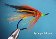 Springer Stinger.jpg