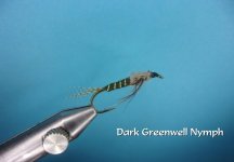 Dark Greenwell Nymph.jpg
