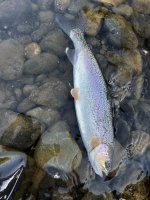 IMG_0182.jpeg