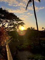 IMG_4618.jpeg
