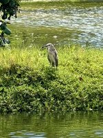 IMG_4653.jpeg IMG_4653.jpeg