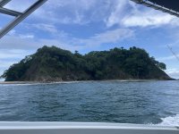 IMG_1311.jpeg IMG_1311.jpeg