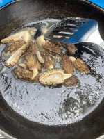 IMG_4201.jpeg