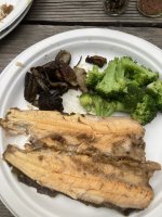 IMG_4203.jpeg