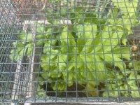 IMG_5837.jpeg