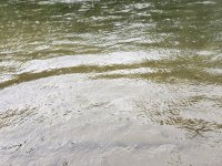 20240615_rain.jpg