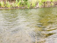 20240615_windrain.jpg