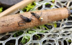 20240615_flies.jpg
