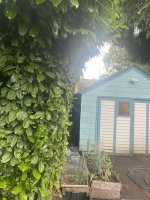 IMG_5839.jpeg