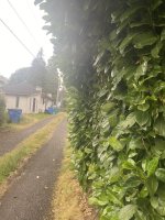 IMG_5840.jpeg