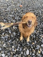 IMG_6616.jpeg