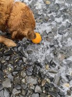 IMG_6615.jpeg