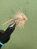 IMG_2147.jpeg