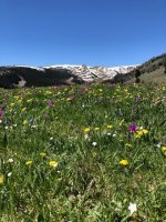 IMG_3824.jpeg