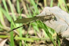 D305B573-7DCB-4313-83BA-D4DB06EB5935.jpeg D305B573-7DCB-4313-83BA-D4DB06EB5935.jpeg