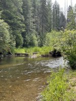 IMG_2042.jpeg