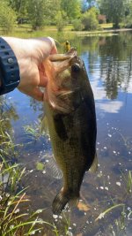 IMG_5058.jpeg