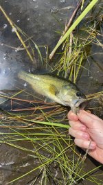 IMG_5062.jpeg