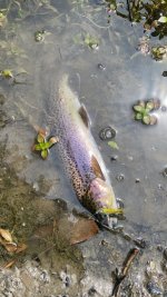 IMG_5066.jpeg
